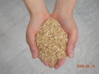 101111手のもみ殻