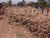 130812ケニアの光景２