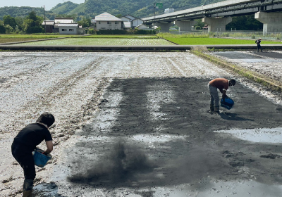 左の画像